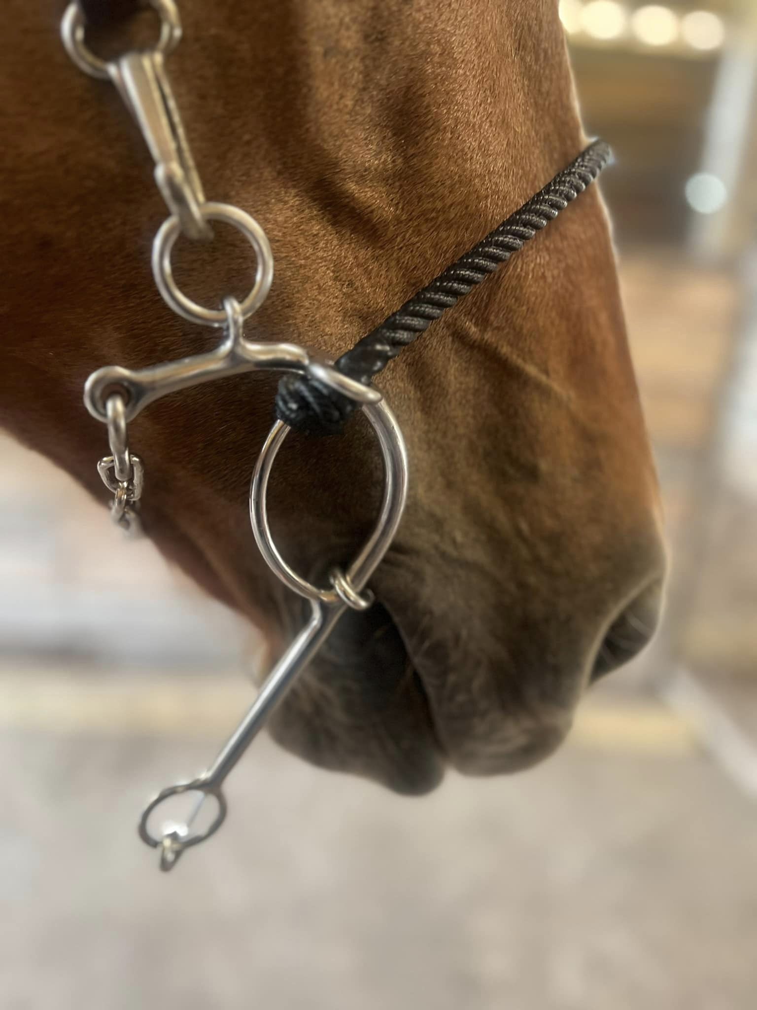 BUTZ 　バッツ　スナッチ１４０Ｒ　neopink snatch140R COMBO BITS – Farm Chic' Boutique