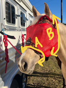 FLY MASK WITH EARS