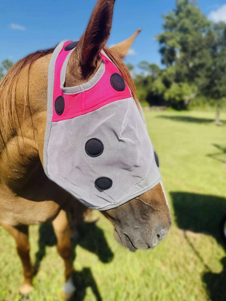 MAGNETIC FLY MASK