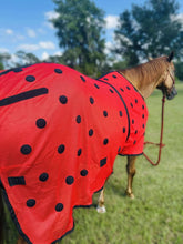 Load image into Gallery viewer, MAGNETIC FLY MASK