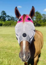 Load image into Gallery viewer, MAGNETIC FLY MASK