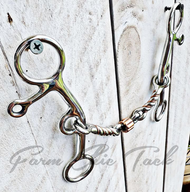 MEDIUM LIFTER BITS SET BACK CURB