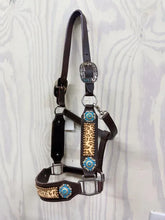 Load image into Gallery viewer, PREMIUM FARM CHIC TACK HALTERS