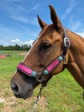 Load image into Gallery viewer, PREMIUM FARM CHIC TACK HALTERS