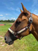 Load image into Gallery viewer, PREMIUM FARM CHIC TACK HALTERS