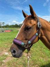 Load image into Gallery viewer, PREMIUM FARM CHIC TACK HALTERS