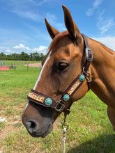 Load image into Gallery viewer, PREMIUM FARM CHIC TACK HALTERS