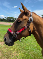 PREMIUM FARM CHIC TACK HALTERS