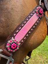Load image into Gallery viewer, PREMIUM FARM CHIC TACK HALTERS