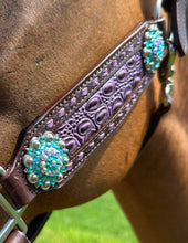 Load image into Gallery viewer, PREMIUM FARM CHIC TACK HALTERS