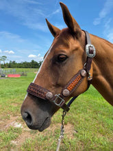 Load image into Gallery viewer, PREMIUM FARM CHIC TACK HALTERS