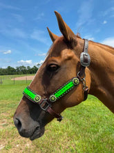 Load image into Gallery viewer, PREMIUM FARM CHIC TACK HALTERS