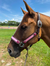 Load image into Gallery viewer, PREMIUM FARM CHIC TACK HALTERS