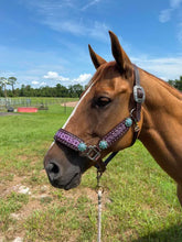 Load image into Gallery viewer, PREMIUM FARM CHIC TACK HALTERS