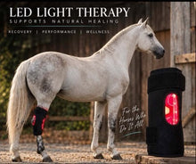 Load image into Gallery viewer, RED LIGHT THERAPY - PRE ORDER ONLY - ARRIVING EARLY OCTOBER 2026