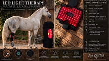 Load image into Gallery viewer, RED LIGHT THERAPY - PRE ORDER ONLY - ARRIVING EARLY OCTOBER 2026