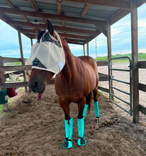 Load image into Gallery viewer, FLY BOOTS: BUY 4 packs get one FREE at checkout