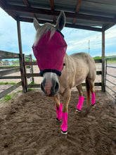 Load image into Gallery viewer, FLY BOOTS: BUY 4 packs get one FREE at checkout